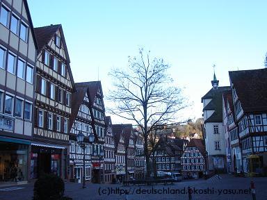 calw_city_view_2008