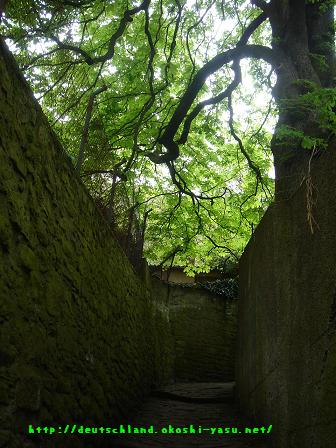 Schlangenweg