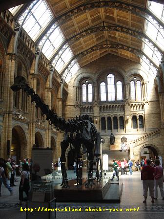 The Natural History Museum